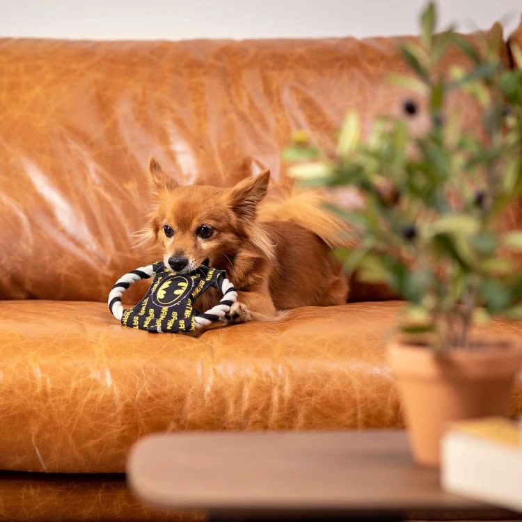 Gryzak i czyścik do zębów dla psa Batman licencja  (5).jpg