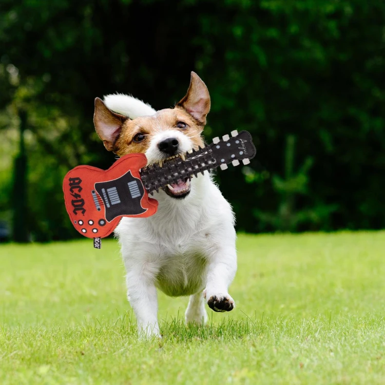 Gryzak dla psa ACDC gitara elektryczna XL licencja  (8).jpg