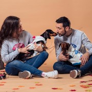 Bluza Ubranie dla psa Disney Myszka Minnie  (7).jpg