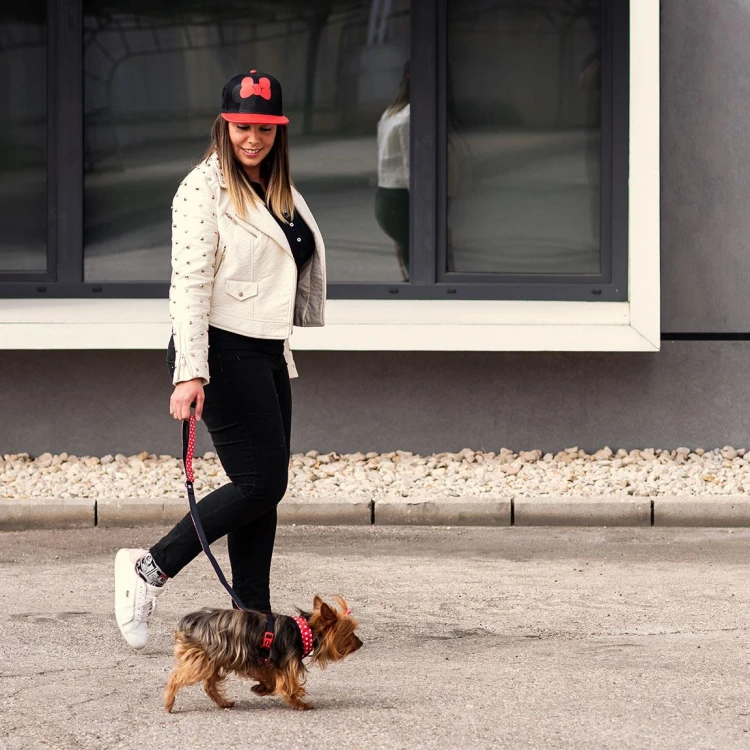 Smycz dla psa 1,2 metra Disney Myszka Minnie S  (5).jpg