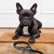 Smycz dla psa 1 metr Star Wars Mandalorianin M  (5).jpg