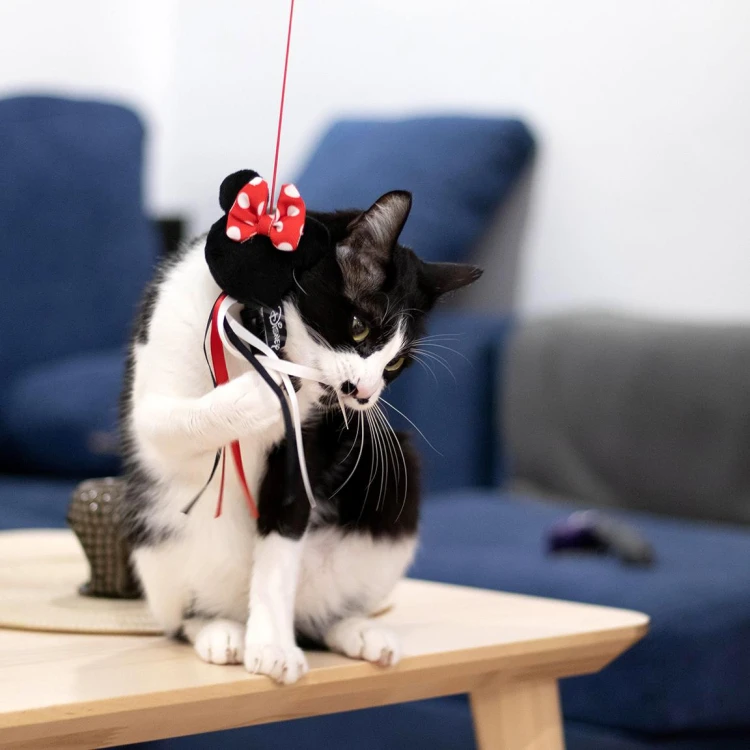 Różdżka Zabawka na sznurku dla kota Myszka Minnie  (2).jpg
