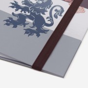 Segregator A4 Harry Potter Gryffindor - licencyjny  (3).jpg