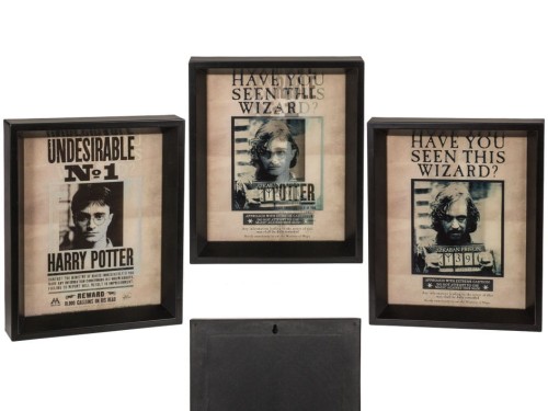 Obrazek plakat 3D Harry Potter & Sirius Black .jpg