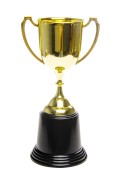 Puchar trofeum zwycięzcy Złoty Statuetka Nagroda  (1).jpg
