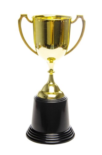 Puchar trofeum zwycięzcy Złoty Statuetka Nagroda  (1).jpg