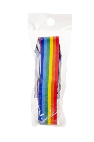 Smycz na szyję kolory tęczy Kolorowa na klucze telefon  (1).jpg