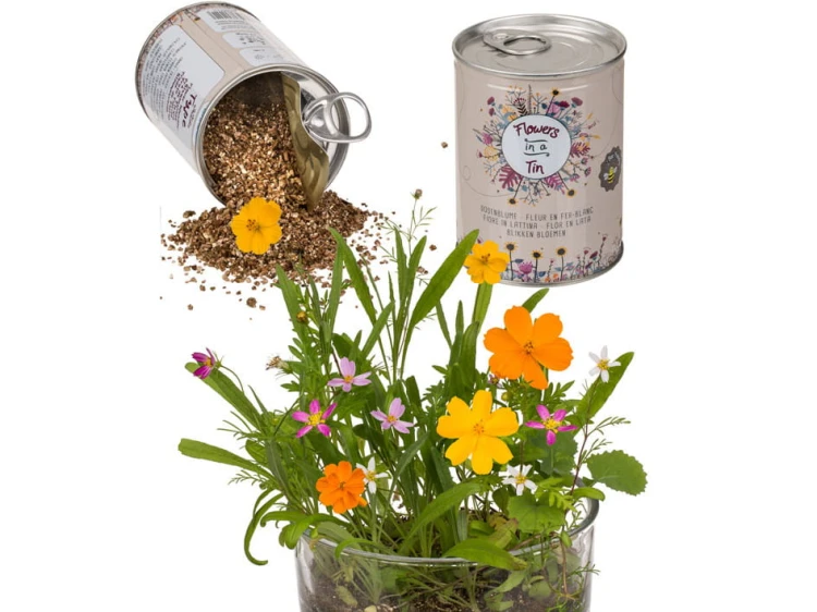 Kwiaty w puszcze własna kwiatowa łąka Nasiona kwiatków 1.jpg