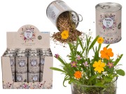 Kwiaty w puszcze własna kwiatowa łąka Nasiona kwiatków 2.jpg