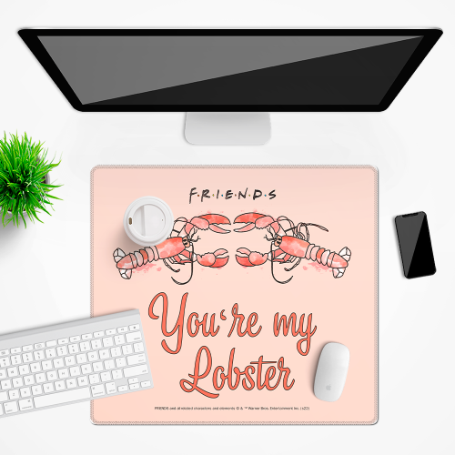 Mata na biurko Podkładka ochronna 50x45 cm DC Friends Przyjaciele II  (2).png