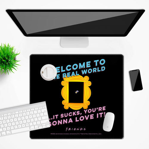 Mata na biurko Podkładka ochronna 50x45 cm DC Friends Przyjaciele XIII  (2).png