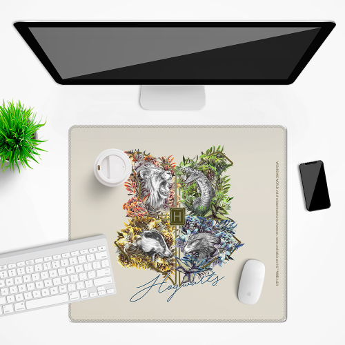 Mata na biurko Podkładka ochronna 50x45 cm Harry Potter IX  (2).png