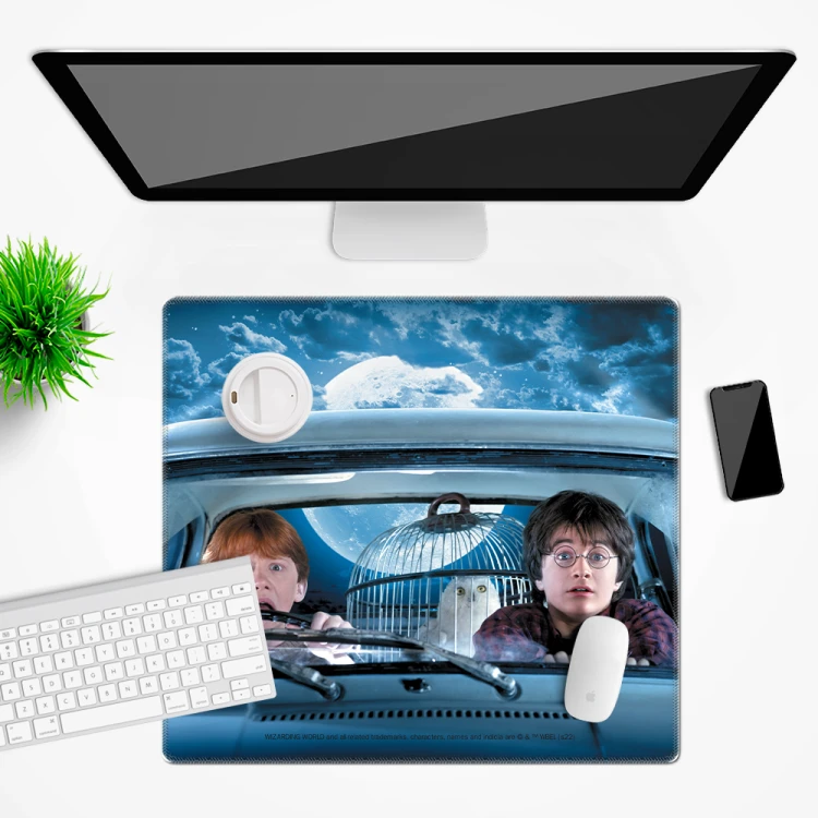 Mata na biurko Podkładka ochronna 50x45 cm Harry Potter X  (2).png