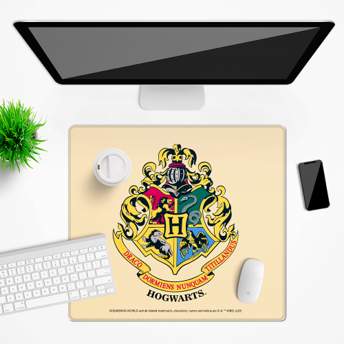 Mata na biurko Podkładka ochronna 50x45 cm Harry Potter XIV  (2).png