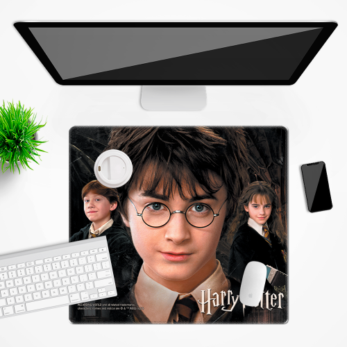 Mata na biurko Podkładka ochronna 50x45 cm Harry Potter XVII  (2).png