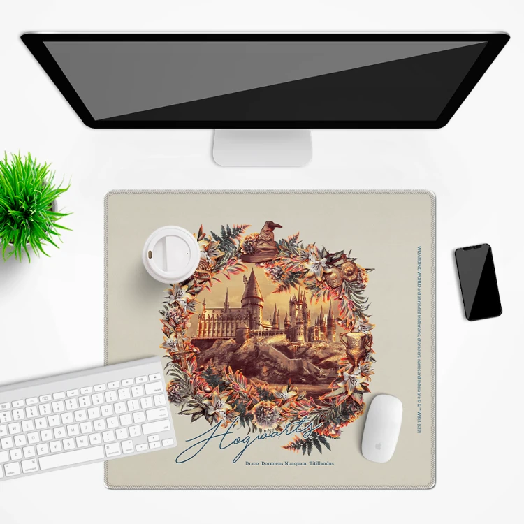 Mata na biurko Podkładka ochronna 50x45 cm Harry Potter XVIII  (2).png