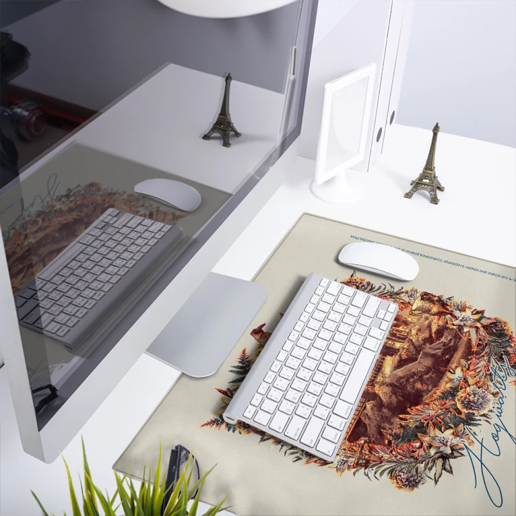 Mata na biurko Podkładka ochronna 50x45 cm Harry Potter XVIII  (1).png