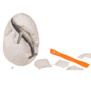 Zestaw wykopaliskowy podwodny świat Morskie Zwierzęta Mały Archeolog 1.png