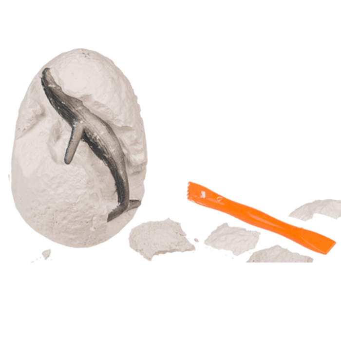 Zestaw wykopaliskowy podwodny świat Morskie Zwierzęta Mały Archeolog 1.png