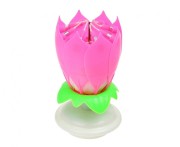 8f8e0dda99f14a52be4fe6a5be6ff8a9