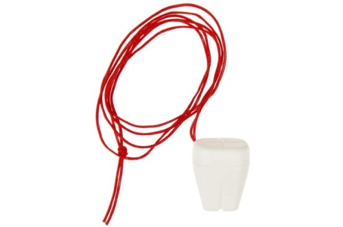 Pojemnik na Ząbek ząb dziecka mleczaki na sznurku Wróżka Zębuszka  (2).jpg