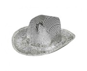 Kapelusz Groovy silver na Imprezę Przebranie
