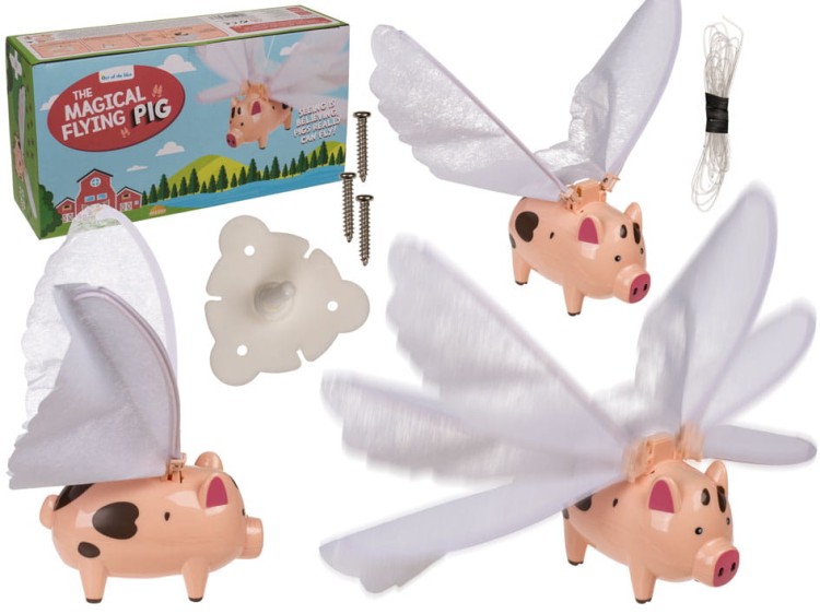 Latająca Świnka Zabawny Gadżet dla Każdego śmieszna zabawka Dekoracja .jpg