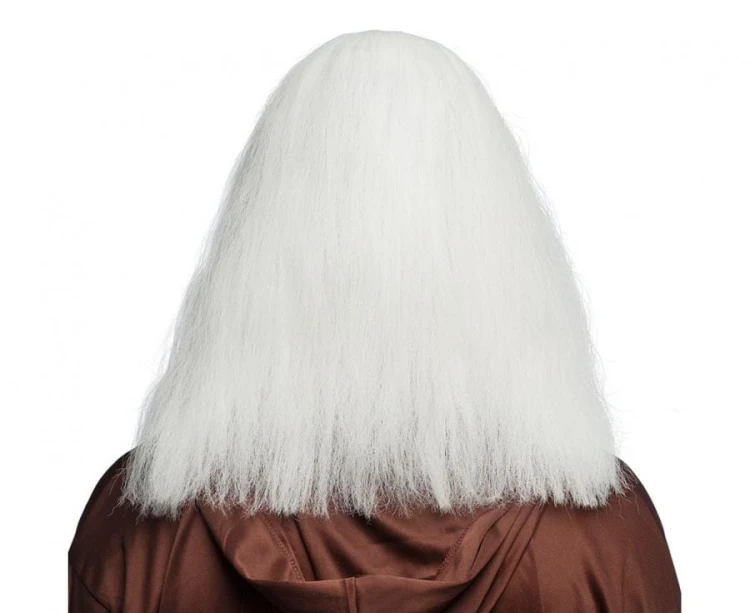 Peruka Stary Mędrzec Pustelnik Mnich Strój Przebranie Siwe włosy z brodą Wise man
