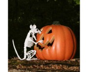 Dynia halloweenowa lampka latarenka 20cm