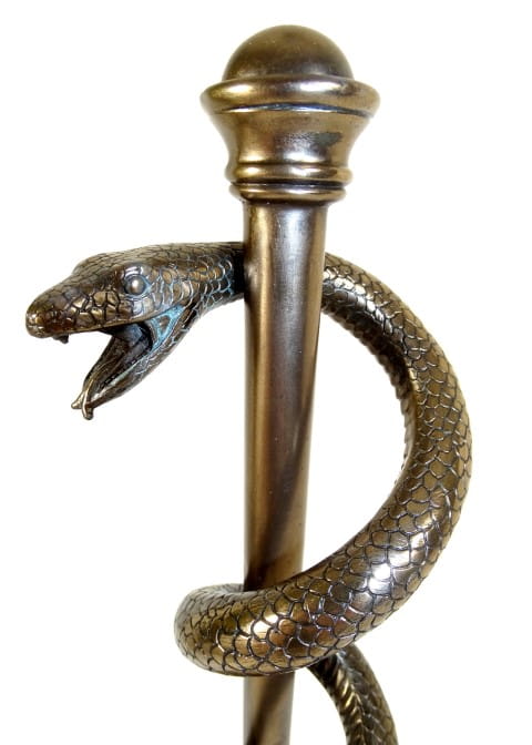 Figurka Laska Eskulapa Symbol Sztuki Medycznej Prezent dla Lekarza  (3).jpg