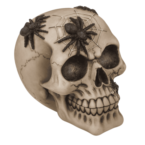 Skarbonka z Kłódką Czaszka z Pająkami Gotycki Klimat Oszczędzania  (1).png