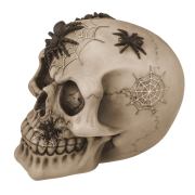 Skarbonka z Kłódką Czaszka z Pająkami Gotycki Klimat Oszczędzania  (2).png