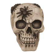 Skarbonka z Kłódką Czaszka z Pająkami Gotycki Klimat Oszczędzania  (3).png