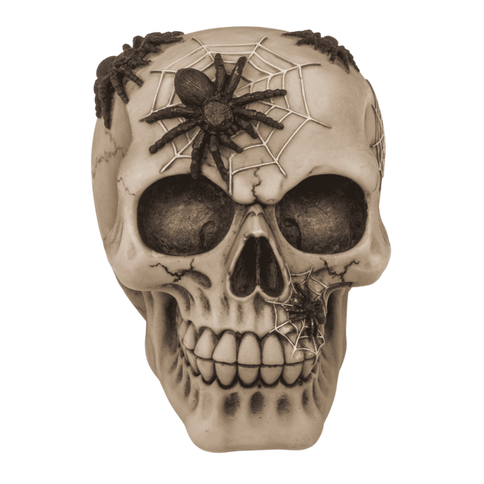 Skarbonka z Kłódką Czaszka z Pająkami Gotycki Klimat Oszczędzania  (3).png