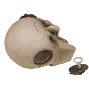 Skarbonka z Kłódką Czaszka z Pająkami Gotycki Klimat Oszczędzania  (4).png