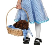 Strój dla dzieci Dorotka Sukienka Przebranie Strój Kostium rozm. 92/104 cm