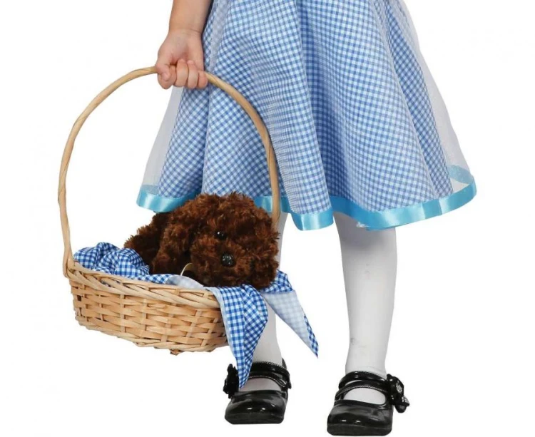 Strój dla dzieci Dorotka Sukienka Przebranie Strój Kostium rozm. 92/104 cm