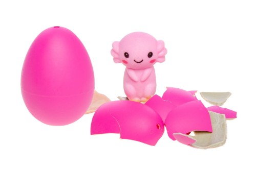 Magiczne Jajo Aksolotl Włóż do Wody i Oglądaj Jak Się Wykluwa  (1).jpg