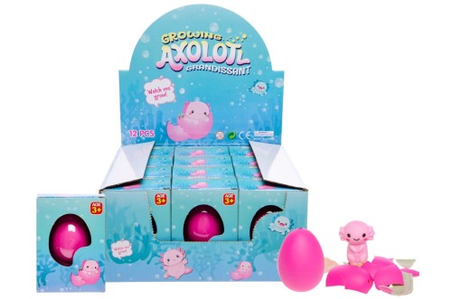 Magiczne Jajo Aksolotl Włóż do Wody i Oglądaj Jak Się Wykluwa  (2).jpg