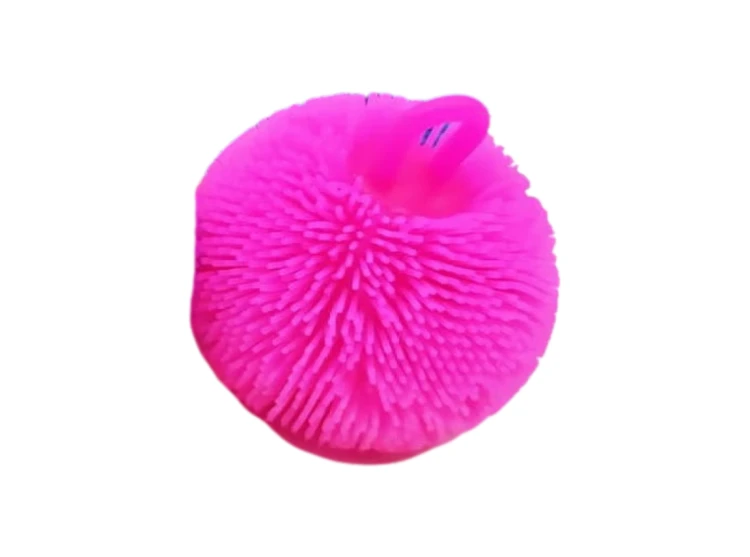 Projekt bez nazwy (3).png