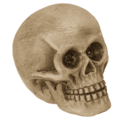 Czaszka z Czerwonymi Oczami LED świecąca Mroczna Dekoracja z Charakterem  (1).png