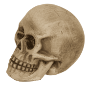 Czaszka z Czerwonymi Oczami LED świecąca Mroczna Dekoracja z Charakterem  (6).png