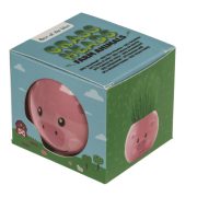 Zwierzaczek z Trawiastą Fryzurą – Doniczka z Rosnącą Trawą  (4).png