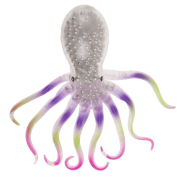 Sensoryczna Ośmiornica – Gniotek Antystresowy z Kuleczkami  (3).png