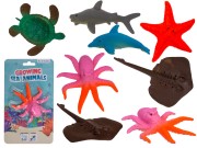 Rosnące Zwierzątko Morskie 10 cm – Magiczna Zabawka dla Dzieci  (1).jpg