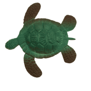 Rosnące Zwierzątko Morskie 10 cm – Magiczna Zabawka dla Dzieci  (6).png