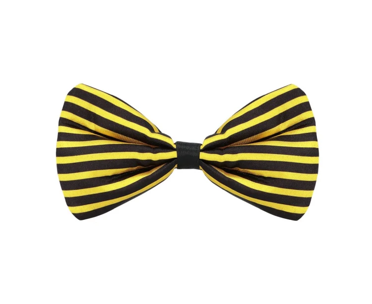 Zestaw Pszczółka – uniwersalne przebranie z muszką, szelkami i okularami