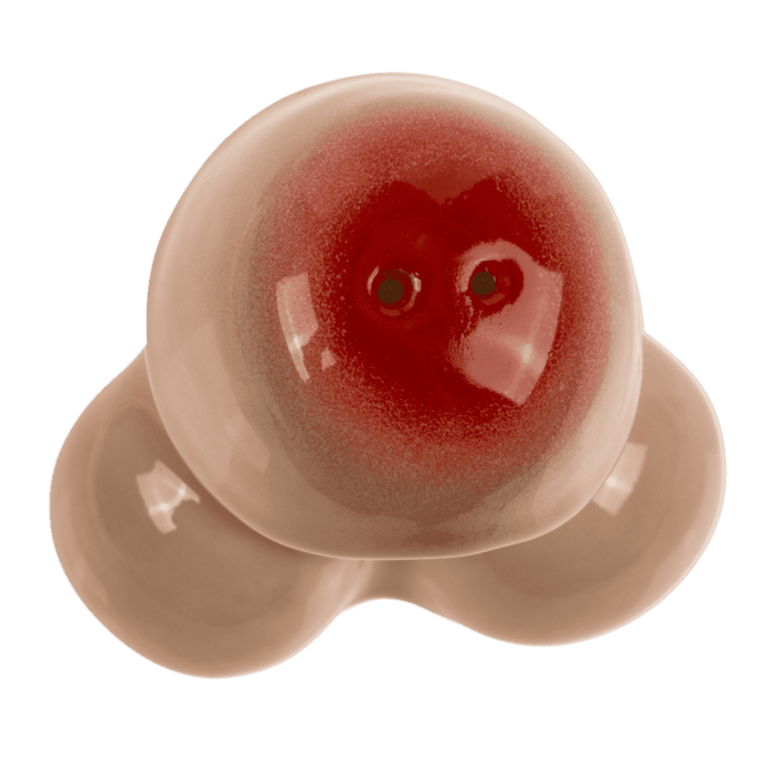 Niegrzeczne Solniczki Peniski – śmieszny prezent na imprezę  (9).png