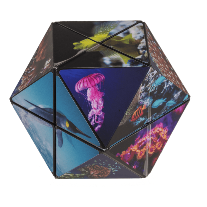 Kostka Bez Końca Sea Life – antystresowa zabawka z oceanem  (3).png