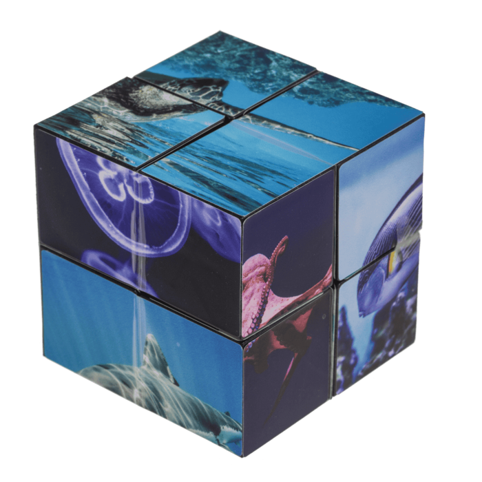 Kostka Bez Końca Sea Life – antystresowa zabawka z oceanem  (4).png